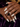CC MAGIC