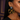 LEOPARD FLY GIRL EAR
