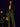 Lady Q’s Corner black collarless tailored blazer with metallic trim worn by a woman with olive trousers and handbag